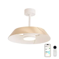 Ventilateur Plafond